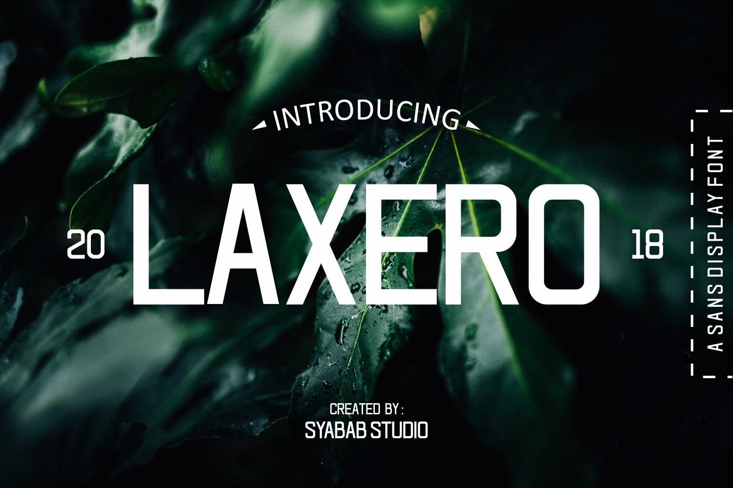 Laxero: A Dashing Script Typeface for Bold Editorial Design