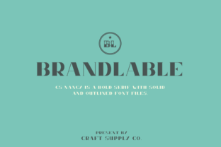 Nancy Serif Display Font for Elegant Branding Projects
